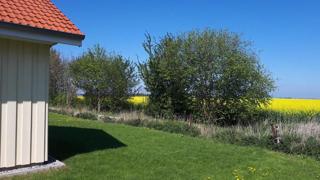 Ferienhaus Seestern Altefähr Buitenkant foto